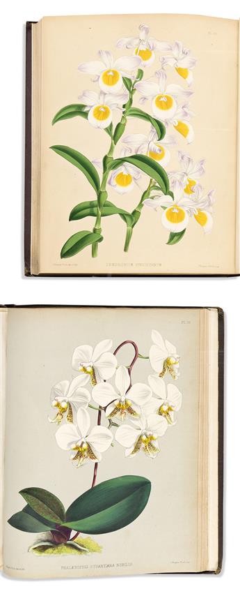 (BOTANICAL.) Robert Warner; Benjamin Samuel Williams; Thomas Moore; and John Nugent Fitch. The Orchid Album, Comprising